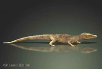 Протерозух7.jpg (30 КБ)