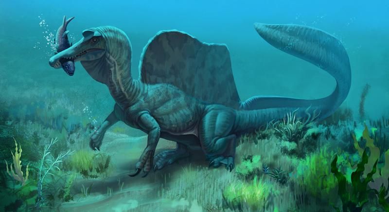 Спинозавр | Вымершие животные вики | Fandom