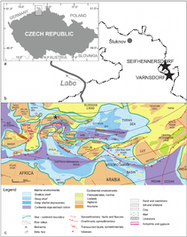 Oligocene of Czeczia
