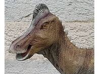 Гипакрозавр 16