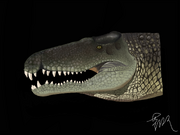 Dentaneosuchus crassiproratus