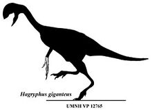 275px-Hagryphus.jpg