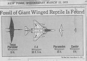 Newspaper, 1975.jpg