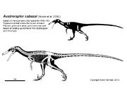 Austroraptor skeleton