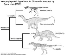 Dinosaur-cladogram-Ornithoscelida-Mar-2017-Darren-Naish-Tetrapod-Zoology