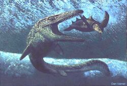 Mosasaurus image