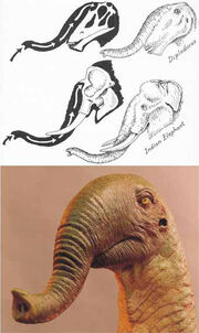 Trunked sauropods a hypothetical trunked Diplodocus (and an Asian elephant) at top, illustrated by Robert Bakker, and (below) a hypothetical trunked Giraffatitan, by Bill Munns