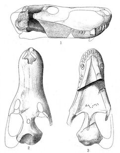 S66967575.jpg