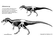 18 Allosaurus