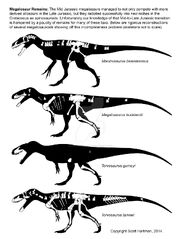 Megalosauridae.jpg
