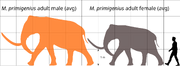 Woolly mammoth size comparison.svg