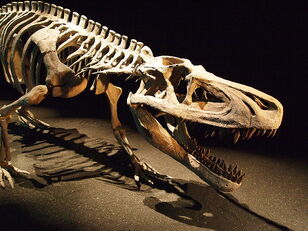 800px-Saurosuchus.jpg