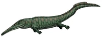 Prionosuchus-5.jpg (29 КБ)