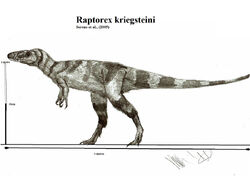Raptorex kriegsteini by teratophoneus-d53gn7m