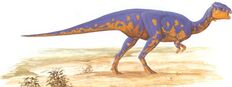 Goyocephale-1