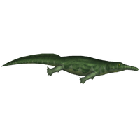 Prionosuchus (PrimevalRaptor)