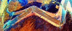 The wing of the bird-like feathered dinosaur Anchiornis under laser-stimulated fluorescence. Credit Wang , Pittman M , 2017
