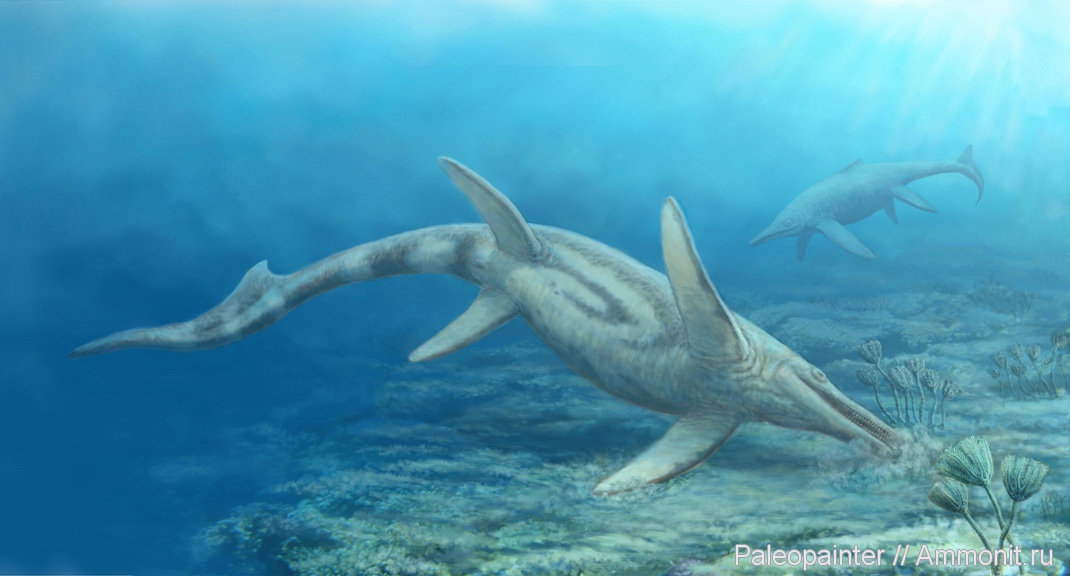  An illustration of two Guizhouichthyosaurus swimming in the ocean.