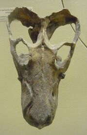S23625571.jpg
