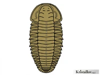 Оленины.jpg (300 КБ) Типичный представитель оленин