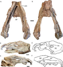 Peerj-09-10854-g015