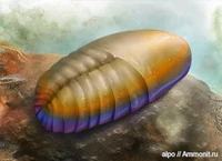 Цианорус.jpg (102 КБ) Цианор