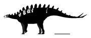 Baiyinosaurus Skeletal.svg