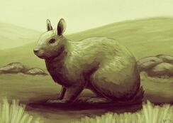 F44423795e7ce0cbfdb10c0d8dc54229--giant-rabbit-extinct-animals