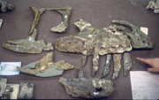 Torvosaurus fossil.png
