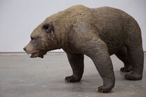 Ursus etruscus2.jpg