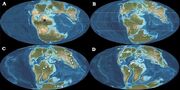 Palaeogeographic locations of spinosaurids (white) and the specimen of HB site (black), through time from Bajocian–Bathonian (A), Tithonian (B), Barremian−Aptian (C), and Albian−Cenomanian (D)