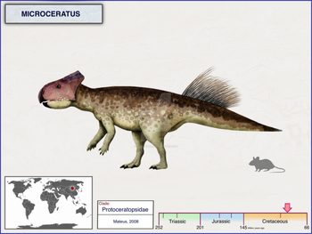 Микроцератус