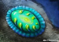 Армиллифера.jpg (102 КБ) Армиллифера