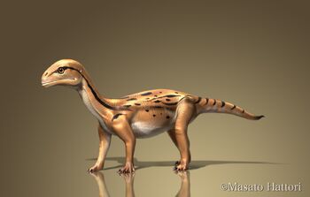 Mussaurus image