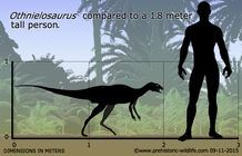 Othnielosaurus-size