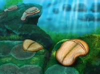 Ёргия3.jpg (84 КБ) Ёргия