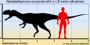 Monolophosaurus-size