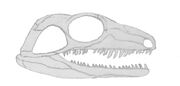 Aerosaurus.jpg