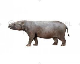 Eritherium-(WB)-738x591