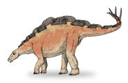 Wuerhosaurus-3