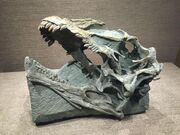 Abrosaurus skull