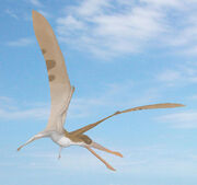 Cearadactylus.jpg