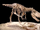 FMNH PR308