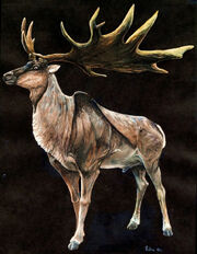 Megaloceros