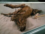 Edmontosaurus Trachodon 01.jpg
