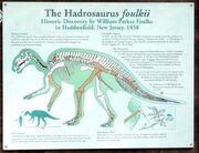 Hadrosaurus foulki isign