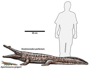 800px-Apachesaurus.jpg