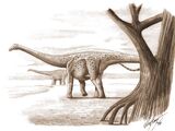 Магиарозавр