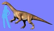 220px-Riojasaurus NT.jpg