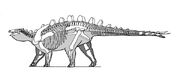 Yingshanosaurus 2